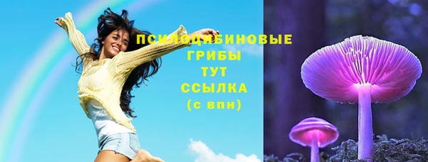 спайс Арсеньев