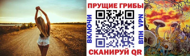 Галлюциногенные грибы прущие грибы  мориарти Telegram  Феодосия  наркошоп 